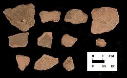 Shenks Ferry body sherds (exterior surface) from the Perry Point site I-5, 18CE256/86, 91, 92.